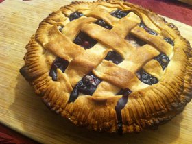 Blueberry pie I made from freshly picked berries N.jpg